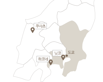 ���� ����